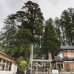 田瀬神社の建物その他