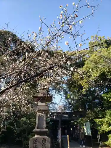 赤坂氷川神社のその他建物