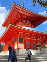 高野山金剛峯寺(和歌山県)