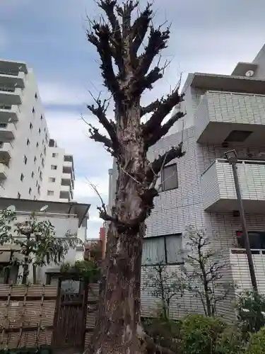 高輪神社(東京都)