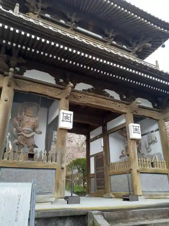 智恩寺の山門・神門
