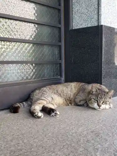 白金氷川神社(東京都)
