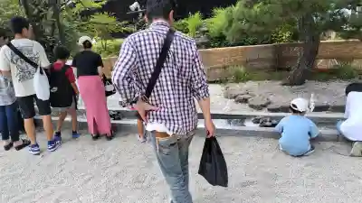賀茂御祖神社（下鴨神社）のお祭り