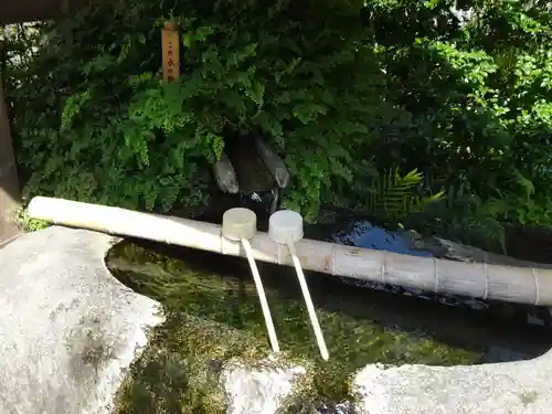 妙蓮寺の手水舎