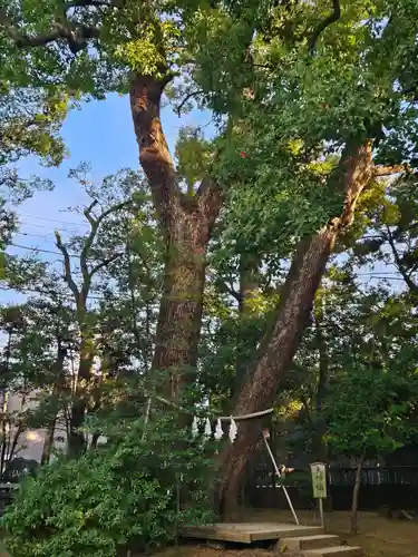武蔵一宮氷川神社(埼玉県)