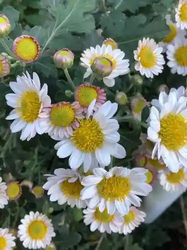 三輪神社の自然