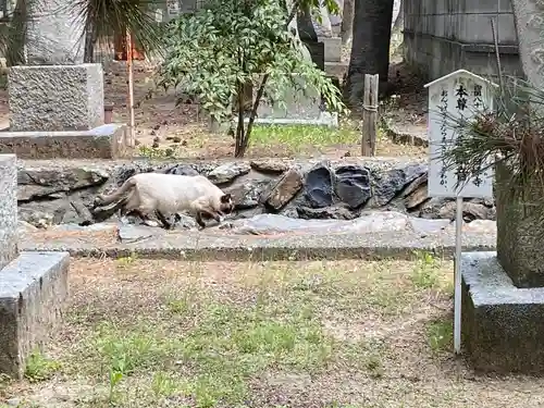 讃岐國分寺(香川県)