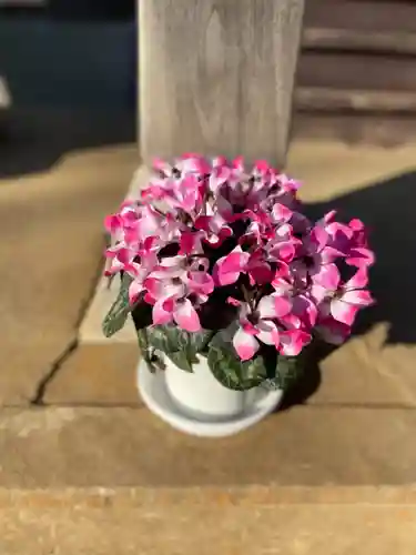 伏木香取神社の自然