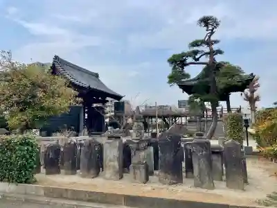 遍照院の{uncategorized: "未分類", other: "その他", undefined: "問題あり", building: "その他建物", grave: "お墓", sacred_gate: "鳥居", guardian: "狛犬", statue: "像", buddha: "仏像", history: "歴史", nature: "自然", garden: "庭園", animal: "動物", pagoda: "塔", temizu: "手水舎", mountain_gate: "山門・神門", sanctuary: "本殿・本堂", subordinate: "末社・摂社", art: "芸術", scenery: "景色", jizo: "地蔵", ema: "絵馬", goshuin: "御朱印", omikuji: "おみくじ", items: "授与品その他", amulet: "お守り", goshuincho: "御朱印帳", eats: "食事", festival: "お祭り", votive_dance: "神楽", shichigosan: "七五三参", wedding: "結婚式", experience: "体験その他", initially: "初詣", around: "周辺", anti_infection: "感染症対策"}