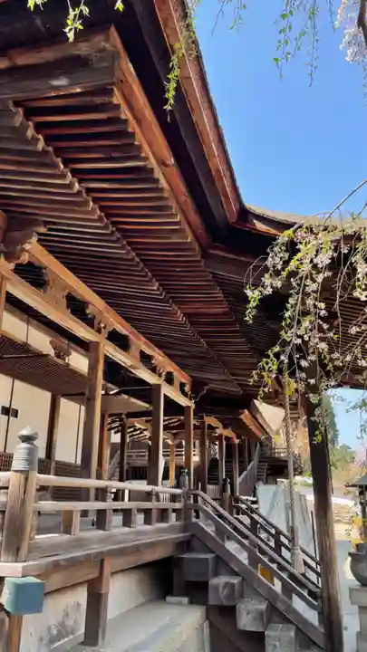 金剛寺(大阪府)