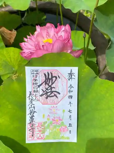 妙蓮寺(神奈川県)