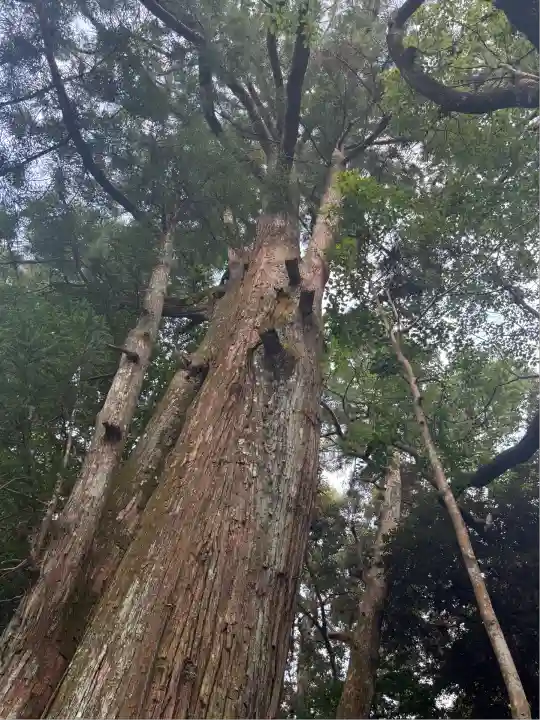 伊勢神宮外宮(豊受大神宮)(三重県)