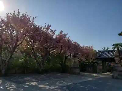 荘厳寺のその他建物