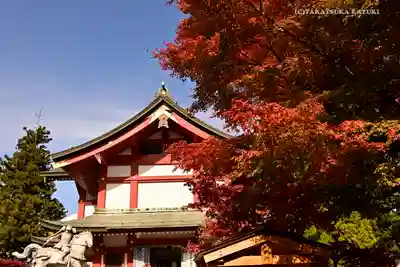 武蔵御嶽神社(東京都)