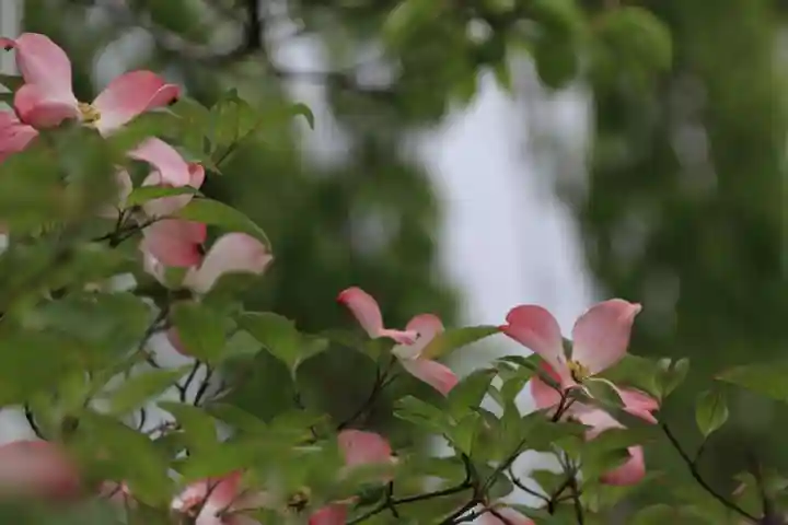 開成山大神宮の庭園