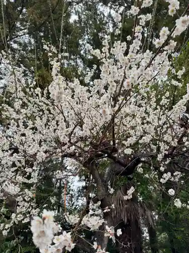 豊景神社(福島県)