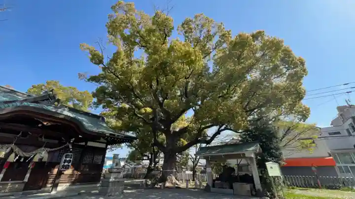 金岡神社(大阪府)