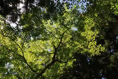 稲荷神社の自然