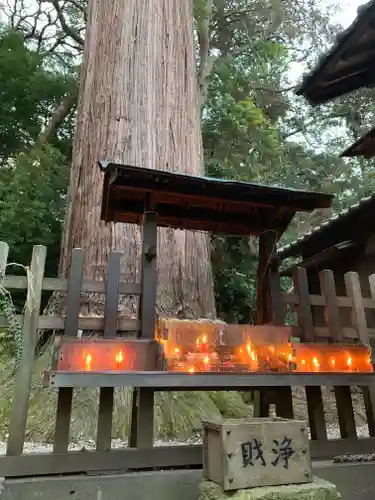事任八幡宮のその他建物