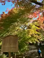 安楽寺(京都府)