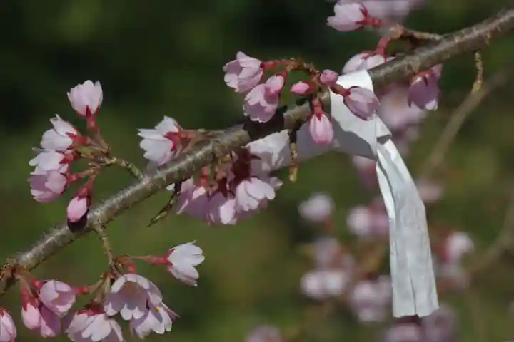 国宝 大法寺の自然