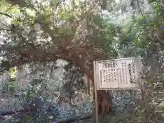 諏訪神社の建物その他