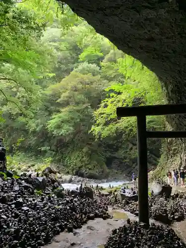 天岩戸神社の自然