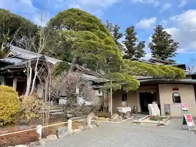 修禅寺(静岡県)