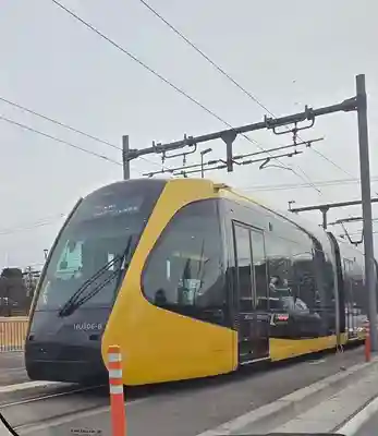 平出雷電神社(栃木県)