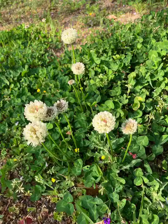 大山祇神社(福岡県)
