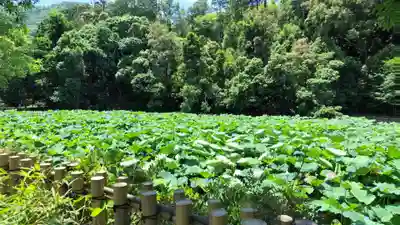 御髪神社の周辺