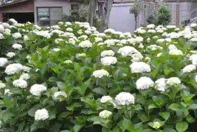 石刀神社(愛知県)