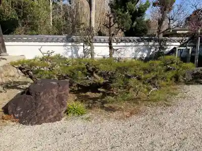 誓昌院の{uncategorized: "未分類", other: "その他", undefined: "問題あり", building: "その他建物", grave: "お墓", sacred_gate: "鳥居", guardian: "狛犬", statue: "像", buddha: "仏像", history: "歴史", nature: "自然", garden: "庭園", animal: "動物", pagoda: "塔", temizu: "手水舎", mountain_gate: "山門・神門", sanctuary: "本殿・本堂", subordinate: "末社・摂社", art: "芸術", scenery: "景色", jizo: "地蔵", ema: "絵馬", goshuin: "御朱印", omikuji: "おみくじ", items: "授与品その他", amulet: "お守り", goshuincho: "御朱印帳", eats: "食事", festival: "お祭り", votive_dance: "神楽", shichigosan: "七五三参", wedding: "結婚式", experience: "体験その他", initially: "初詣", around: "周辺", anti_infection: "感染症対策"}