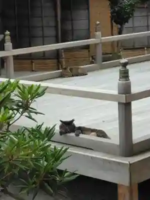 村雲御所瑞龍寺門跡(滋賀県)