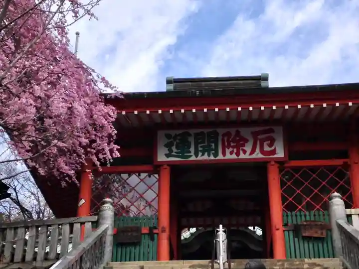 高尾山薬王院の山門・神門