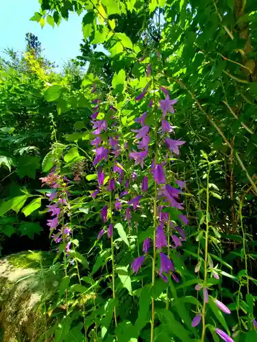 石都々古和気神社(福島県)