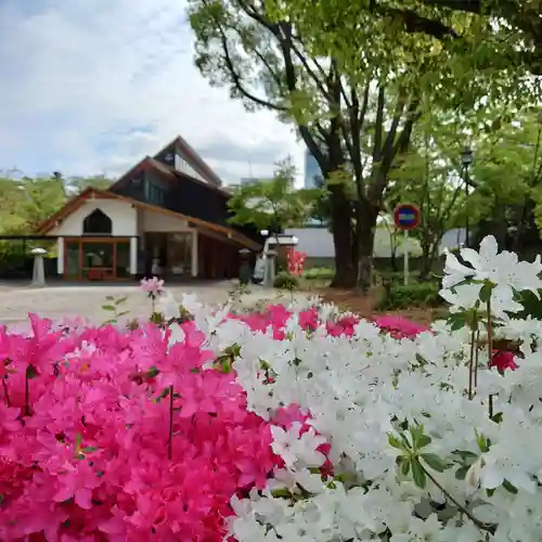 増上寺塔頭 三縁山 宝珠院の庭園