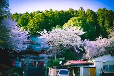 飯野川亀ヶ森八幡神社(宮城県)