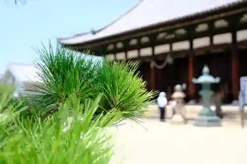 叡福寺のその他建物