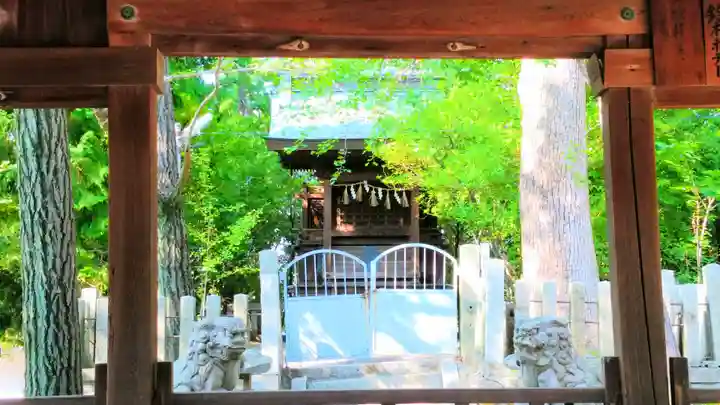 八幡社(白山社八幡社)の本殿・本堂