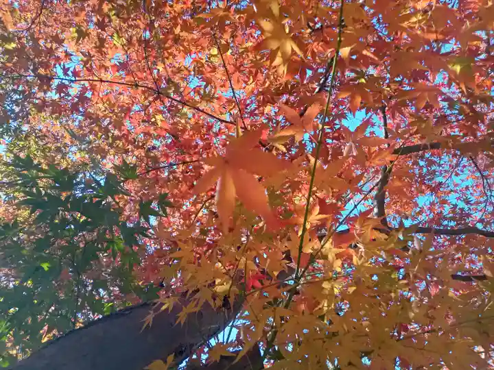 慈眼寺(大阪府)