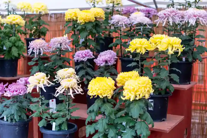 生島足島神社(長野県)