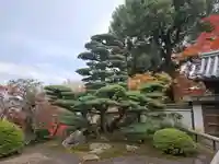 華厳寺(鈴虫寺)(京都府)