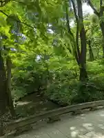 河合神社(鴨川合坐小社宅神社)(京都府)