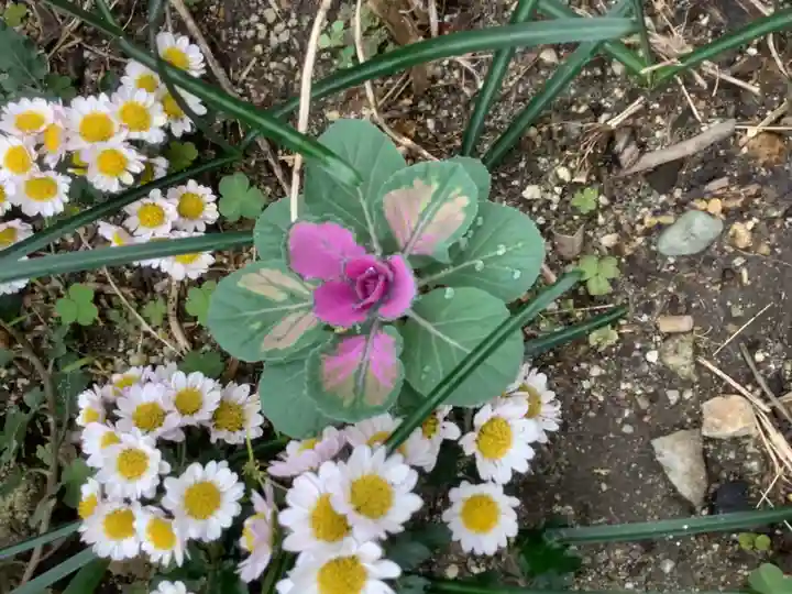 三輪神社の自然