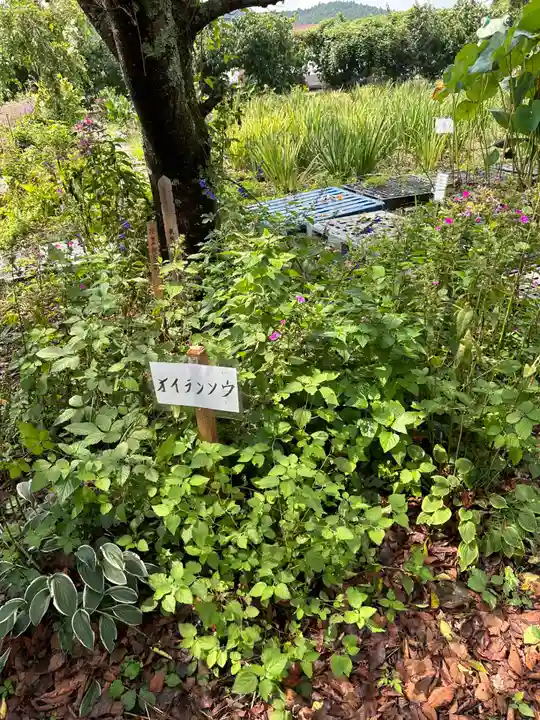 東輪寺(栃木県)