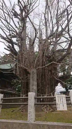 葛飾八幡宮のその他建物