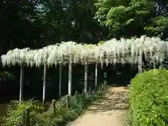 玉敷神社の庭園