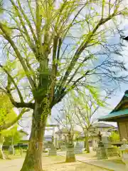 千勝神社(茨城県)