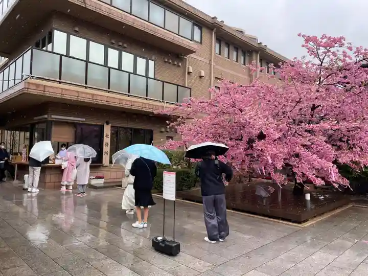 桜神宮(東京都)